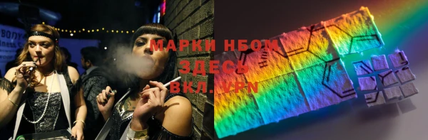 прущие грибы Балабаново