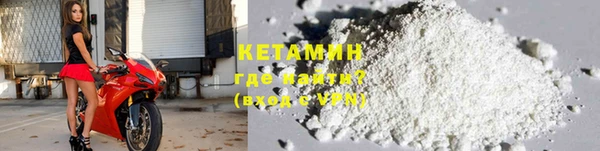 прущие грибы Балабаново