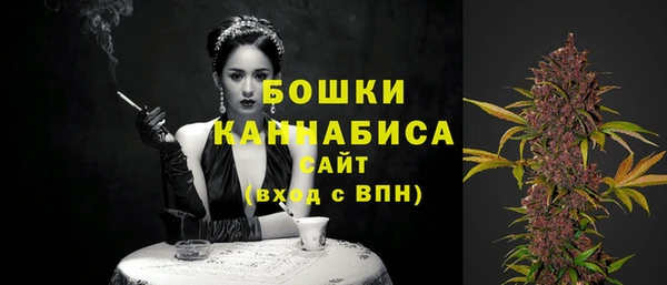 прущие грибы Балабаново