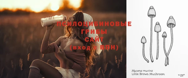 прущие грибы Балабаново