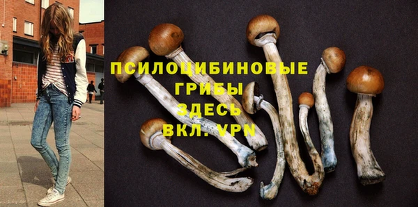 прущие грибы Балабаново